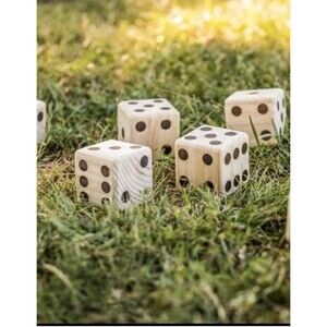 BIG ROLLER WOODEN LAWN DICE 5 Pieces